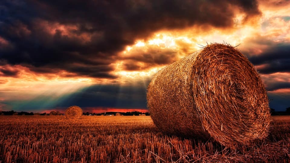 The History of Harvest: From Ancient Times to Modern-day Practices