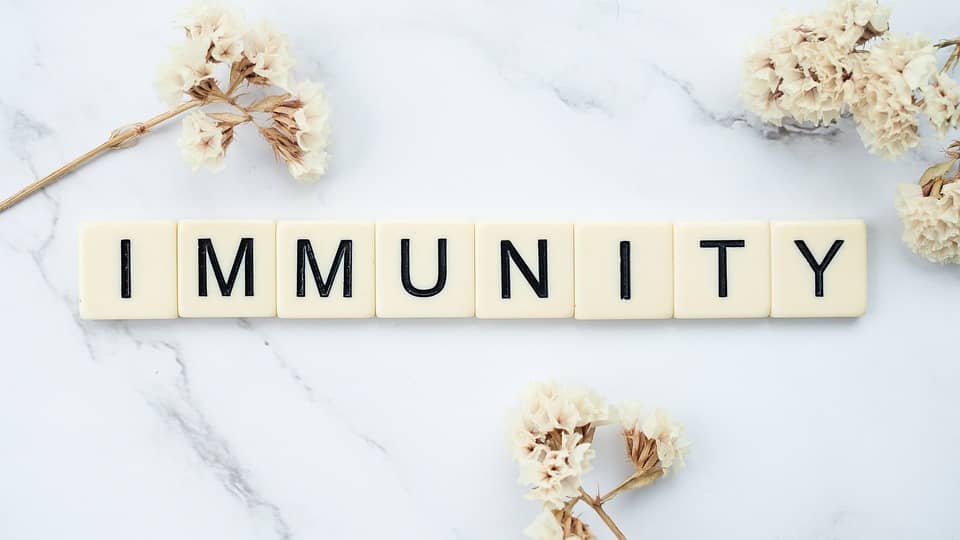 The Top 10 Herbs for Boosting Immunity