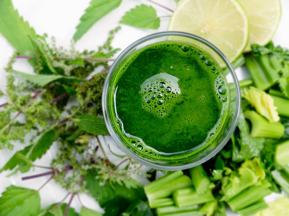 10 Proven Health Tips for Boosting Your Immune System